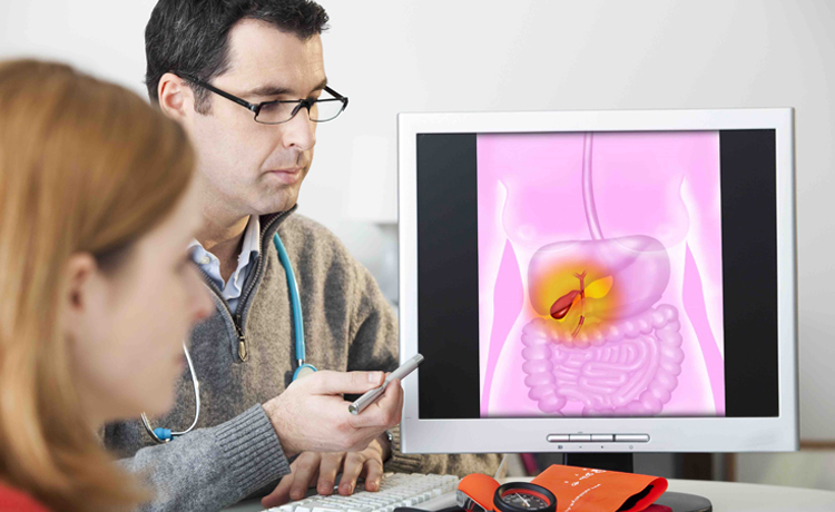 Gastroenterology | Medical Responsive Website Templates